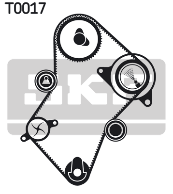 Kit de distribution + pompe à eau SKF VKMC 03241