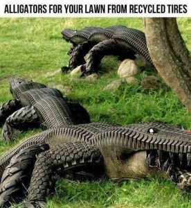Alligators en pneu