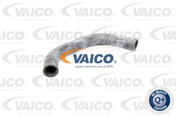Durite de refroidissement VAICO V10-0065