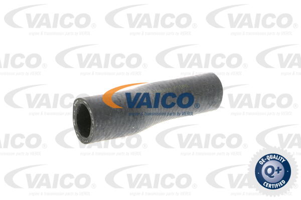 Durite de refroidissement VAICO V10-0362