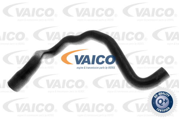 Durite de refroidissement VAICO V10-2810