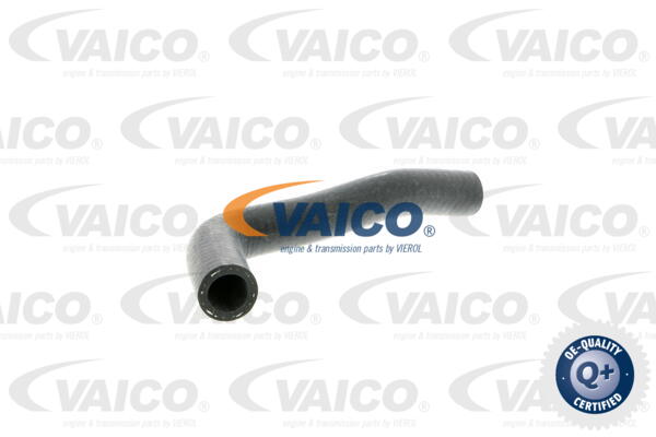 Durite de refroidissement VAICO V10-2816