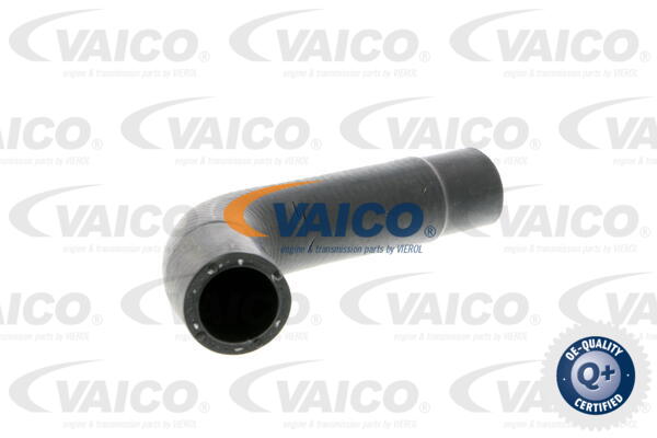 Durite de refroidissement VAICO V10-3202
