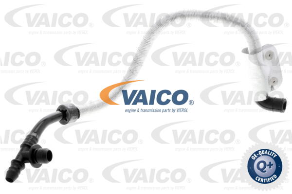 Tuyau de dépression pour système de freinage VAICO V10-3616