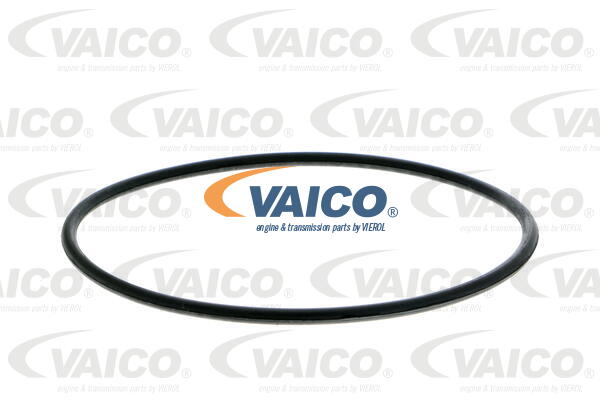 Pompe à eau VAICO V10-50009