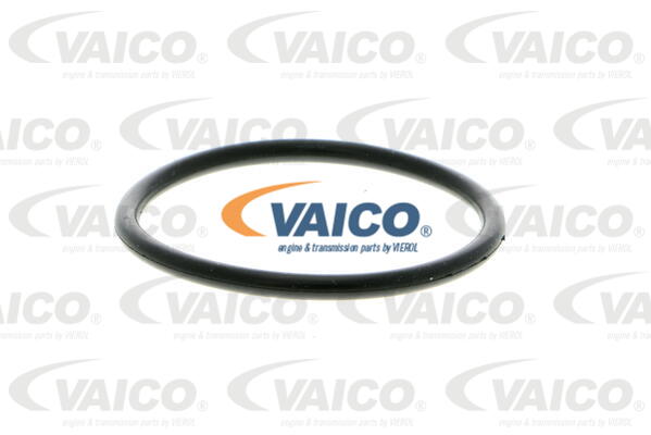 Pompe à eau VAICO V10-50014