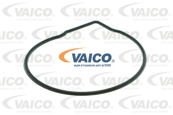 Pompe à eau VAICO V10-50035