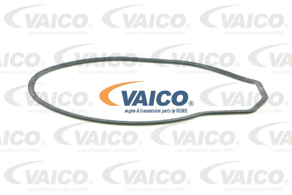 Pompe à eau VAICO V10-50059