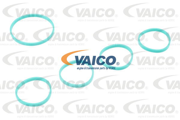 Module de tube d'admission VAICO V10-5427