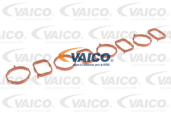 Module de tube d'admission VAICO V10-6484