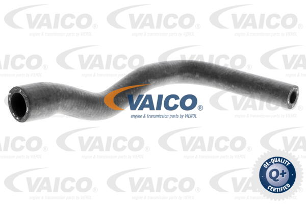 Durite de refroidissement VAICO V20-1240