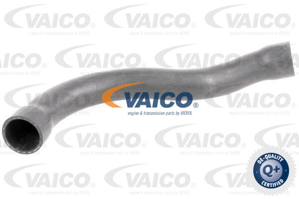 Durite de refroidissement VAICO V20-1750