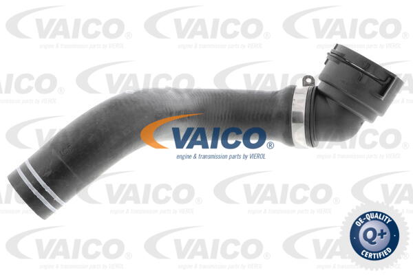 Durite de refroidissement VAICO V24-0835