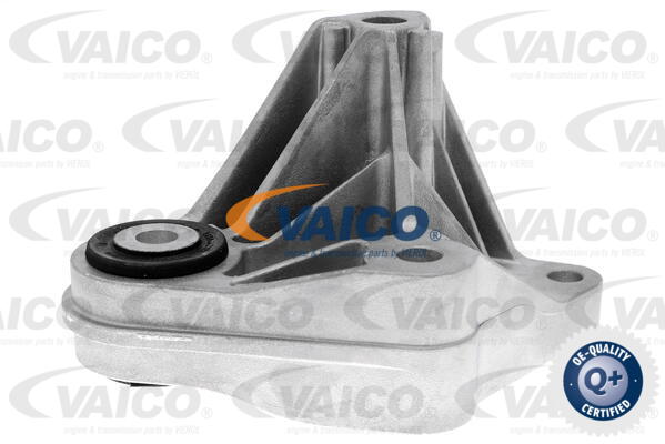 Support moteur VAICO V25-1258
