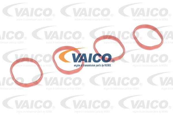 Module de tube d'admission VAICO V25-1508