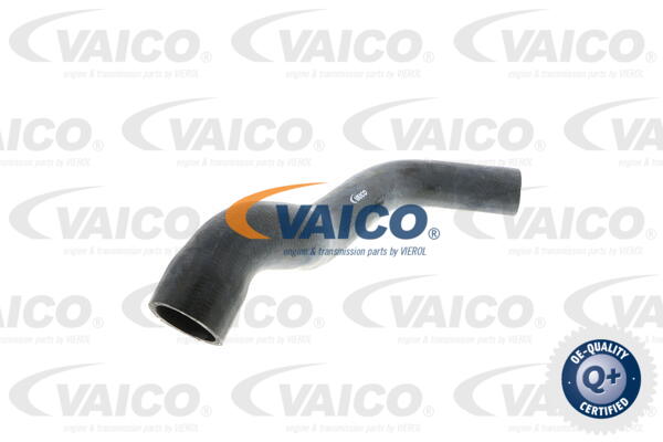 Durite de refroidissement VAICO V30-0148