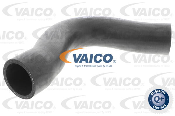 Durite de refroidissement VAICO V30-0220