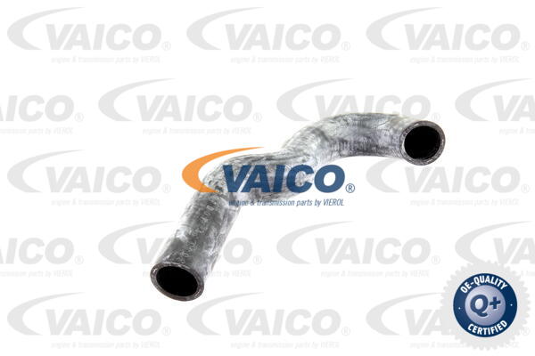 Durite de refroidissement VAICO V30-0227
