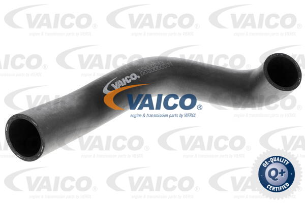 Durite de refroidissement VAICO V30-0243