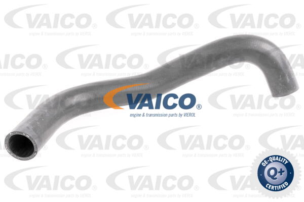 Durite de refroidissement VAICO V30-0251