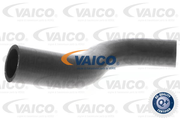 Durite de refroidissement VAICO V30-0701