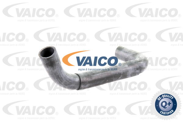 Durite de refroidissement VAICO V30-0718