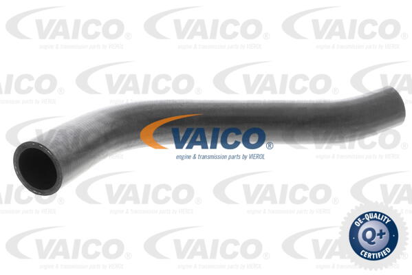 Durite de refroidissement VAICO V30-0729