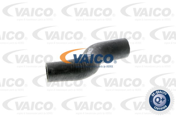 Durite de refroidissement VAICO V30-0734