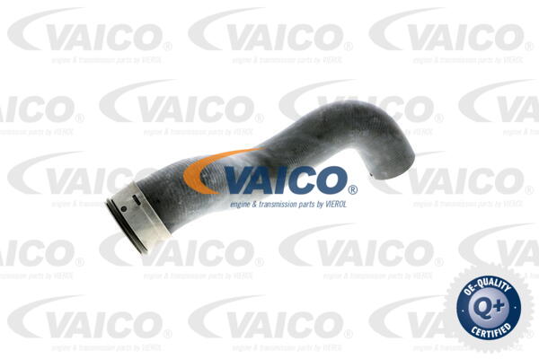 Durite de refroidissement VAICO V30-1656