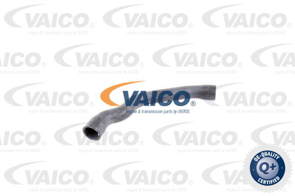 Durite de refroidissement VAICO V30-2099