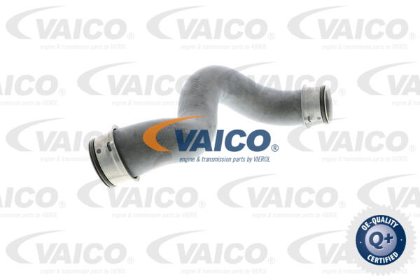 Durite de refroidissement VAICO V30-2225