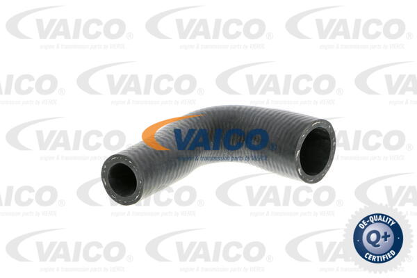 Durite de refroidissement VAICO V30-2250
