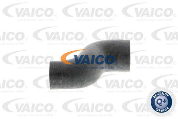 Durite de refroidissement VAICO V40-0370