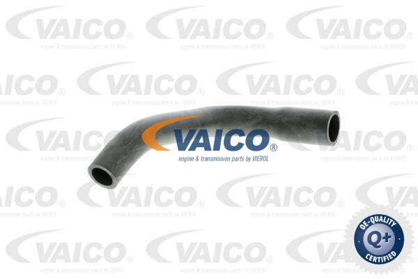 Flexible d'aération (reniflard d'huile) VAICO V40-1782