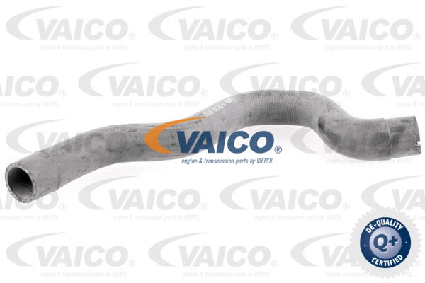 Durite de refroidissement VAICO V40-1994