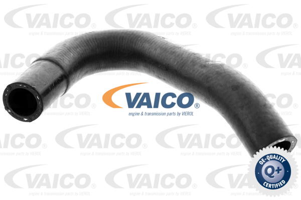 Durite de refroidissement VAICO V40-2000