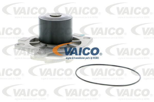 Pompe à eau VAICO V40-50044