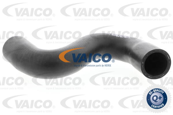 Durite de refroidissement VAICO V42-0635