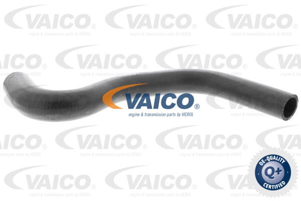 Durite de refroidissement VAICO V42-0640