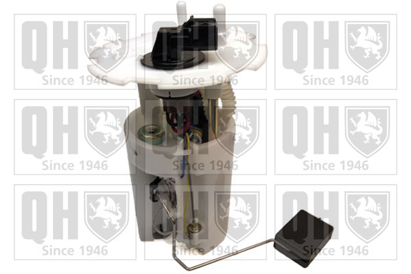 Unité d'injection de carburant QUINTON HAZELL QFP965