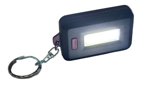 Mini lampe de poche porte clé (3 piles AAA non incluses)